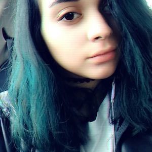 Meet your Posher, Darcy